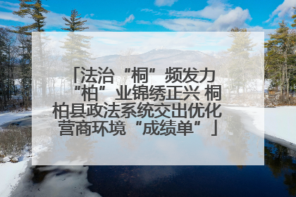 法治“桐”频发力 “柏”业锦绣正兴 桐柏县政法系统交出优化营商环境“成绩单”