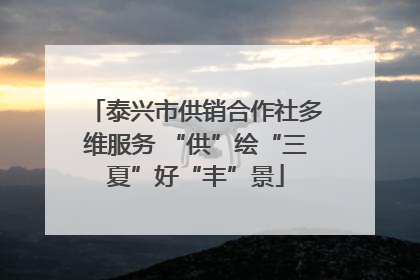 泰兴市供销合作社多维服务 “供”绘“三夏”好“丰”景