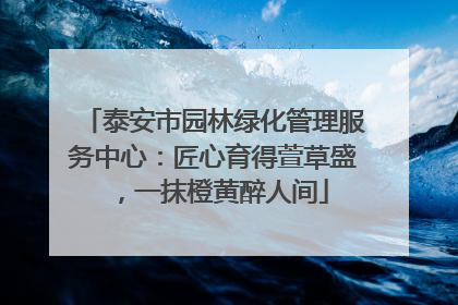 泰安市园林绿化管理服务中心：匠心育得萱草盛，一抹橙黄醉人间