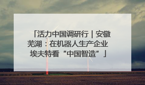 活力中国调研行｜安徽芜湖：在机器人生产企业埃夫特看“中国智造”