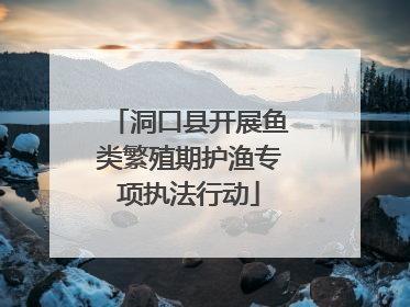 洞口县开展鱼类繁殖期护渔专项执法行动