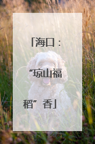 海口：“琼山福稻”香
