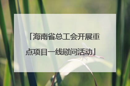 海南省总工会开展重点项目一线慰问活动