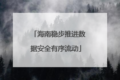 海南稳步推进数据安全有序流动