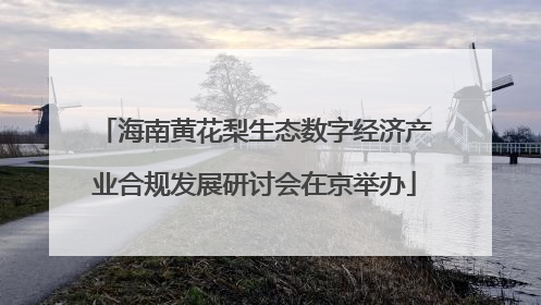 海南黄花梨生态数字经济产业合规发展研讨会在京举办