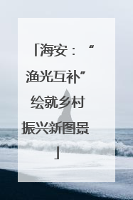 海安：“渔光互补” 绘就乡村振兴新图景