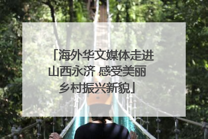 海外华文媒体走进山西永济 感受美丽乡村振兴新貌