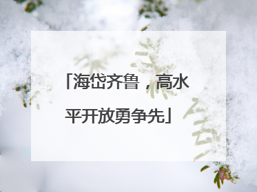 海岱齐鲁，高水平开放勇争先