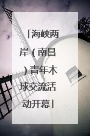 海峡两岸（南昌）青年木球交流活动开幕