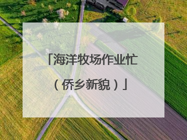海洋牧场作业忙（侨乡新貌）
