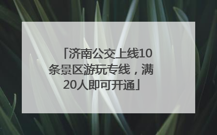 济南公交上线10条景区游玩专线，满20人即可开通