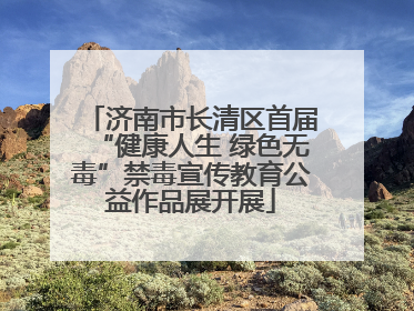 济南市长清区首届“健康人生 绿色无毒”禁毒宣传教育公益作品展开展