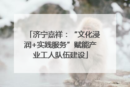 济宁嘉祥：“文化浸润+实践服务”赋能产业工人队伍建设
