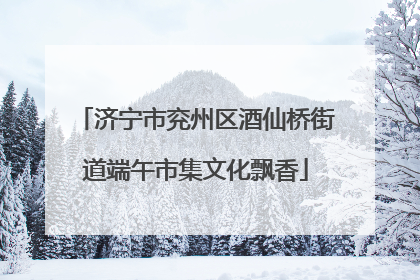 济宁市兖州区酒仙桥街道端午市集文化飘香