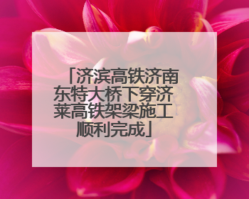 济滨高铁济南东特大桥下穿济莱高铁架梁施工顺利完成