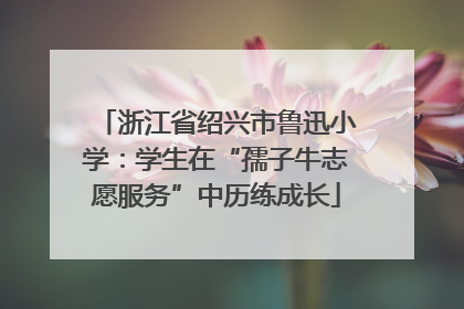 浙江省绍兴市鲁迅小学：学生在“孺子牛志愿服务”中历练成长