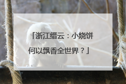 浙江缙云：小烧饼何以飘香全世界？