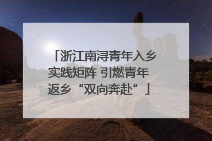 浙江南浔青年入乡实践矩阵 引燃青年返乡“双向奔赴”