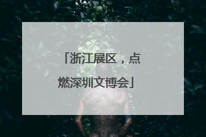 浙江展区，点燃深圳文博会