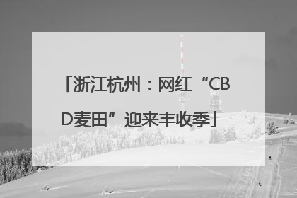 浙江杭州：网红“CBD麦田”迎来丰收季