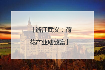 浙江武义：荷花产业助致富
