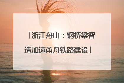 浙江舟山：钢桥梁智造加速甬舟铁路建设