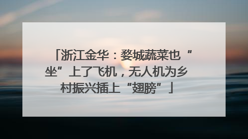 浙江金华：婺城蔬菜也“坐”上了飞机，无人机为乡村振兴插上“翅膀”