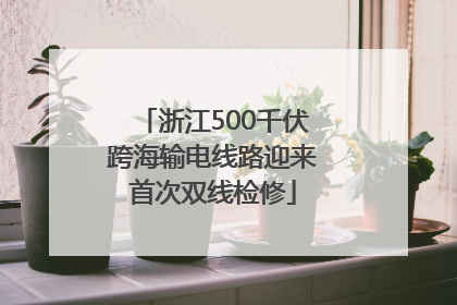 浙江500千伏跨海输电线路迎来首次双线检修