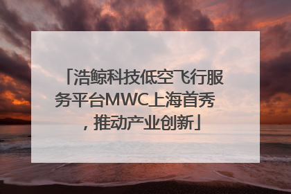 浩鲸科技低空飞行服务平台MWC上海首秀，推动产业创新