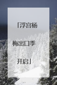 浮宫杨梅出口季开启