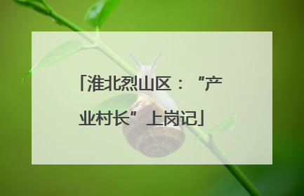 淮北烈山区：“产业村长”上岗记