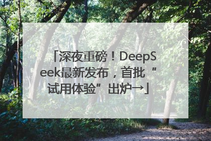 深夜重磅！DeepSeek最新发布，首批“试用体验”出炉→