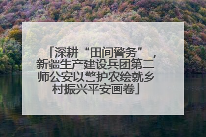 深耕“田间警务”，新疆生产建设兵团第二师公安以警护农绘就乡村振兴平安画卷