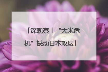 深观察丨“大米危机”撼动日本政坛