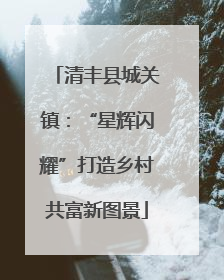 清丰县城关镇：“星辉闪耀”打造乡村共富新图景