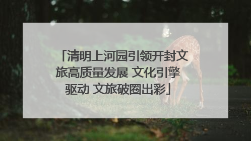 清明上河园引领开封文旅高质量发展 文化引擎驱动 文旅破圈出彩