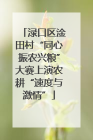 渌口区淦田村“同心振农兴粮”大赛上演农耕“速度与激情”