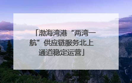 渤海湾港“两湾一航”供应链服务北上通道稳定运营