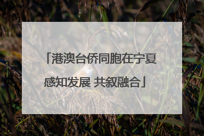 港澳台侨同胞在宁夏感知发展 共叙融合
