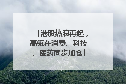 港股热浪再起，高瓴在消费、科技、医药同步加仓