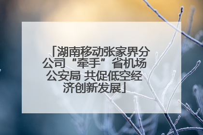 湖南移动张家界分公司“牵手”省机场公安局 共促低空经济创新发展