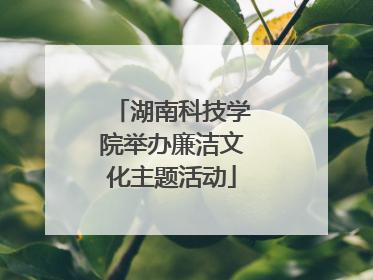 湖南科技学院举办廉洁文化主题活动