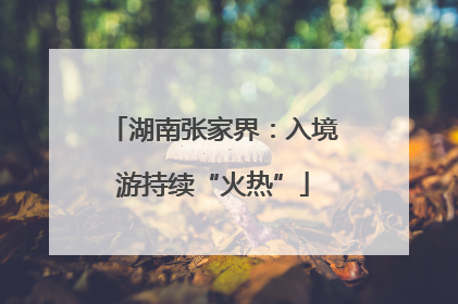 湖南张家界：入境游持续“火热”