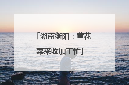 湖南衡阳：黄花菜采收加工忙