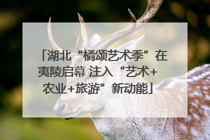 湖北“橘颂艺术季”在夷陵启幕 注入“艺术+农业+旅游”新动能