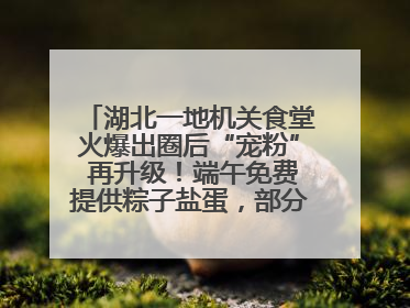 湖北一地机关食堂火爆出圈后“宠粉” 再升级！端午免费提供粽子盐蛋，部分人可八折