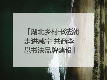 湖北乡村书法潮走进咸宁 共商李邕书法品牌建设