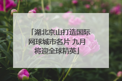湖北京山打造国际网球城市名片 九月将迎全球精英