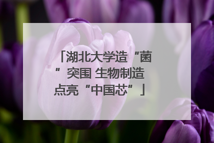湖北大学造“菌”突围 生物制造点亮“中国芯”