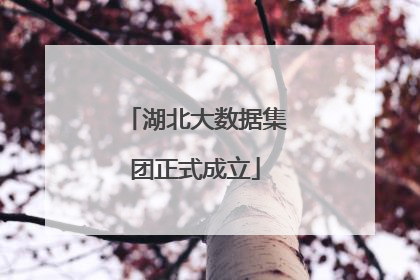 湖北大数据集团正式成立